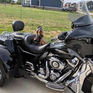 Meet your Posher, Vicki